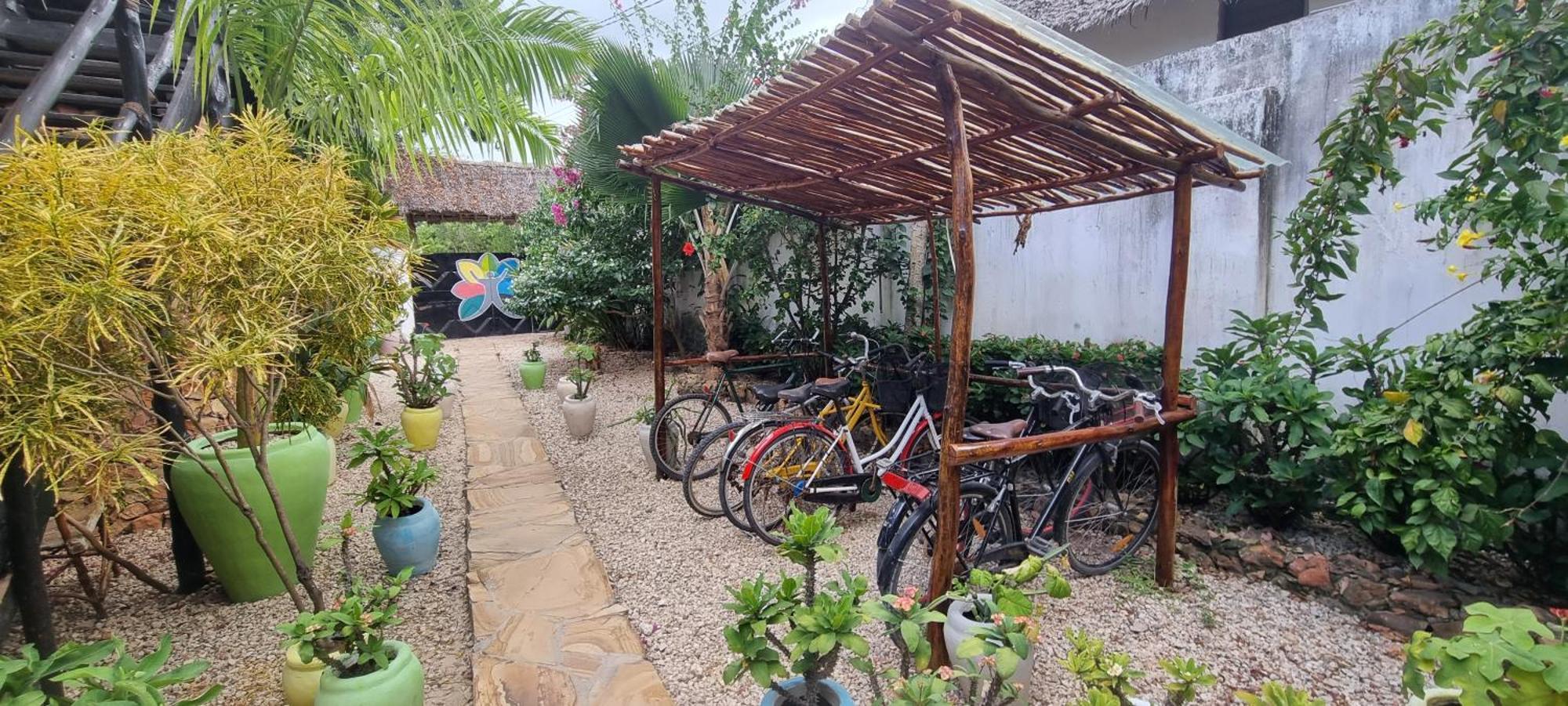Salama & Mbuyuni Bungalows Matemwe  Zewnętrze zdjęcie